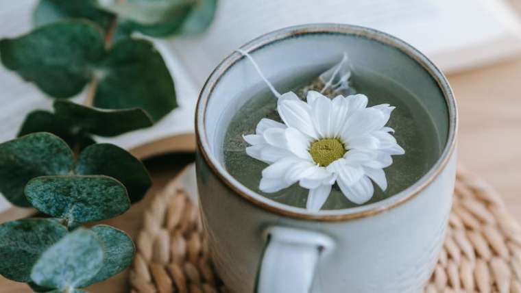 Ceaiul verde – beneficii si utilizari