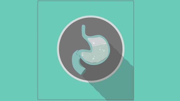 Enzimele digestive – ce rol au?
